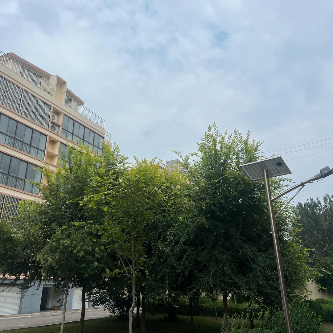 元哥的鹦鹉