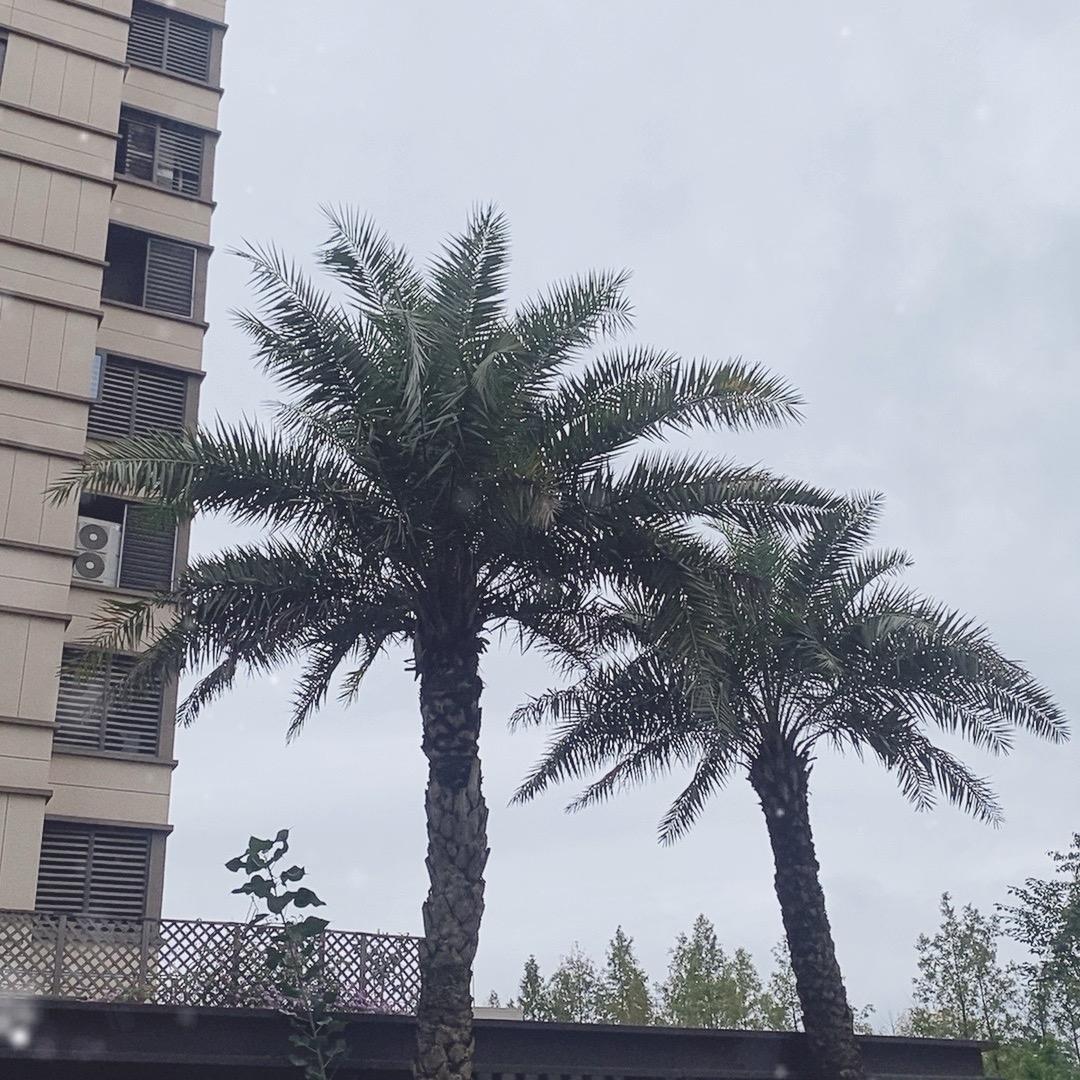 白云好包