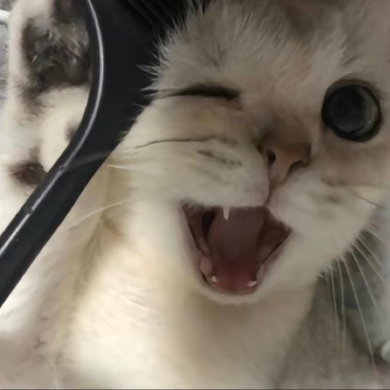 有点小烦