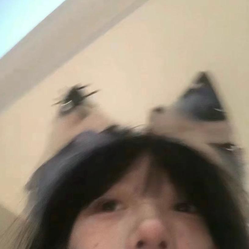 来财来