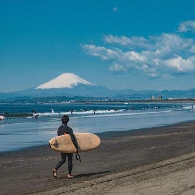 A.学历提升指导 姚老师