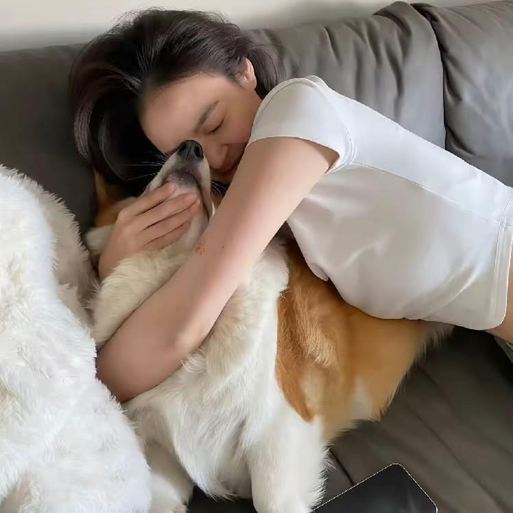 🧀🧀