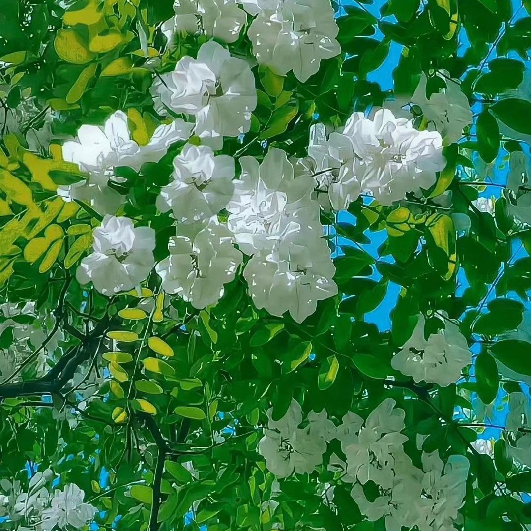 绿森林栀子花苗木基地