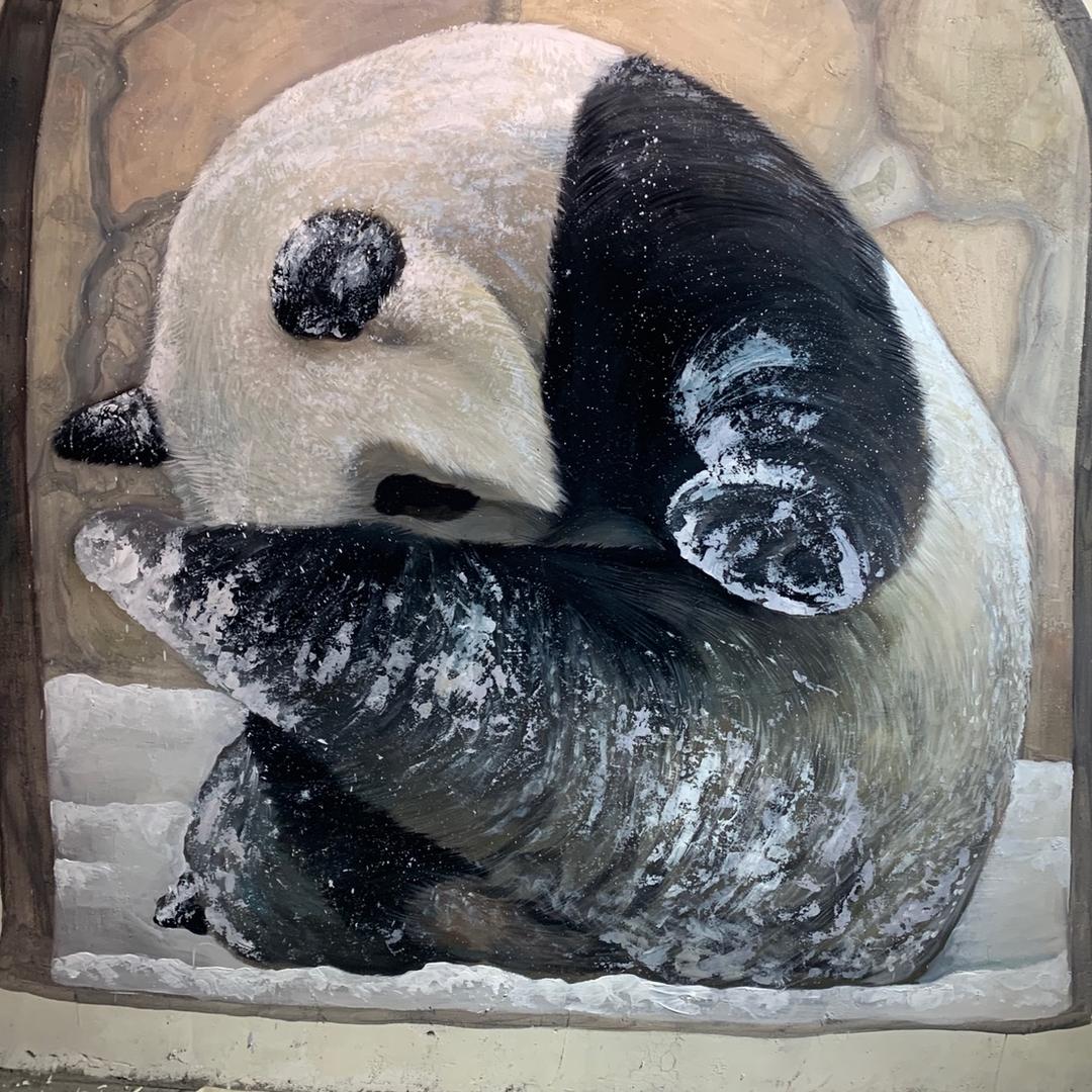 壁画师小吴