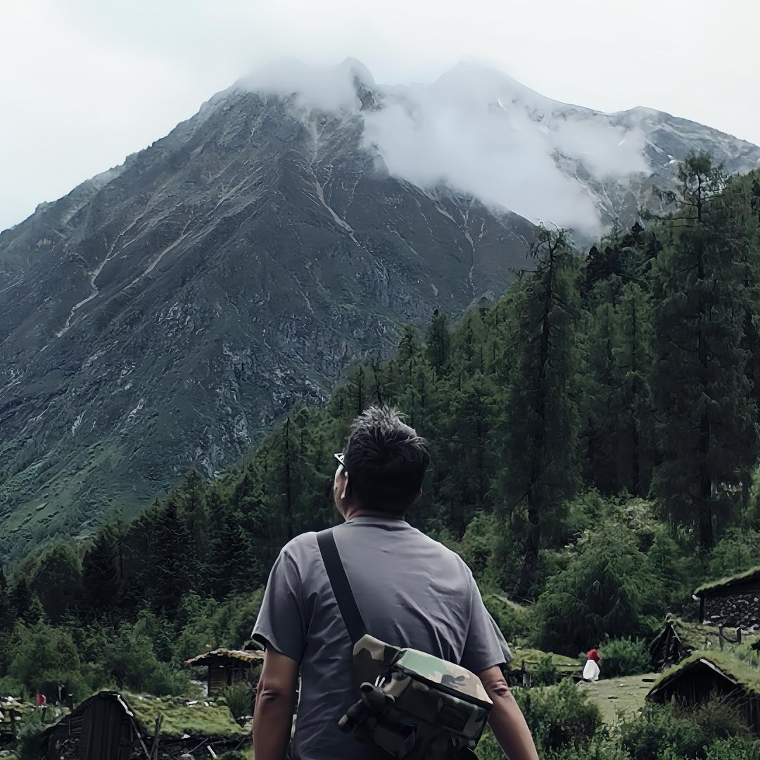猪爸去野🏕️