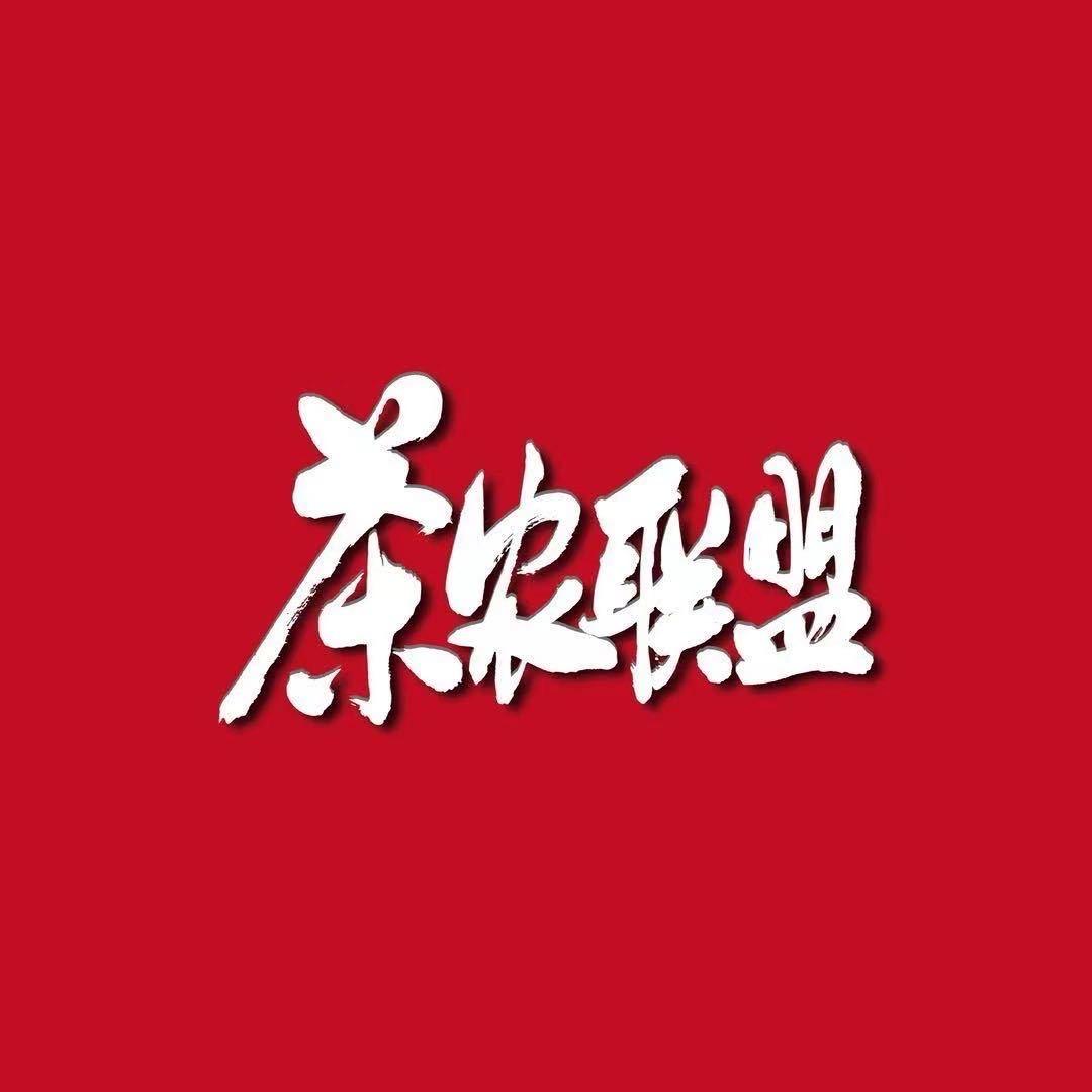 茶农联盟带头人老李茶山行