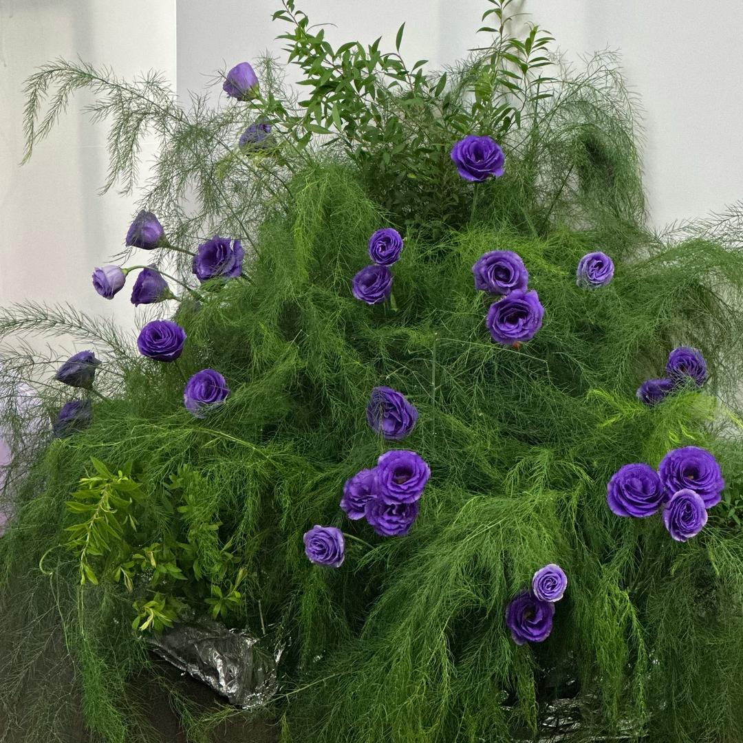 屿植花笺FLOWER