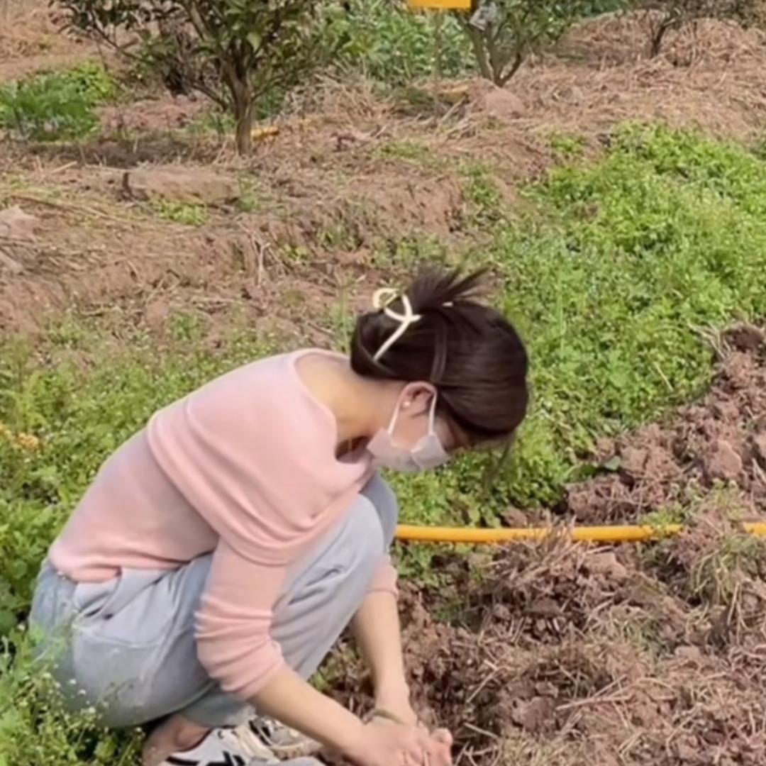 川渝小土豆🥔