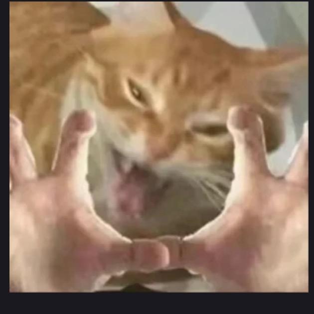 叮叮咚