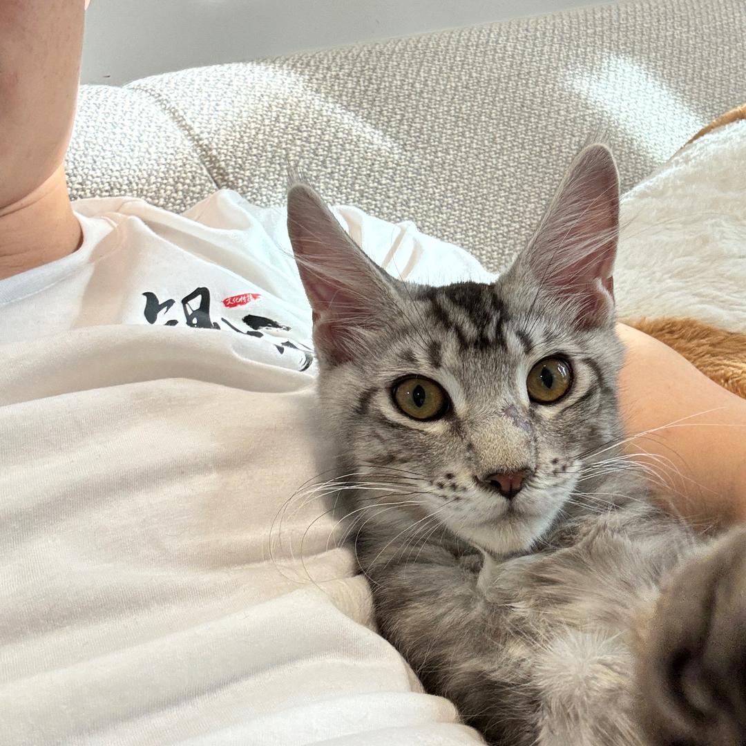 银成医考刘老师