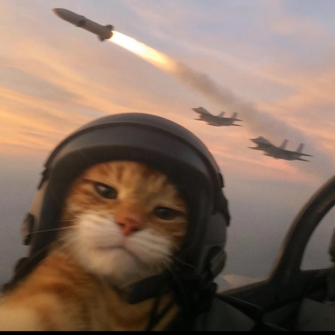 cool miao~