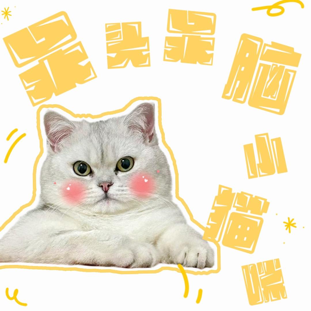 佩琦