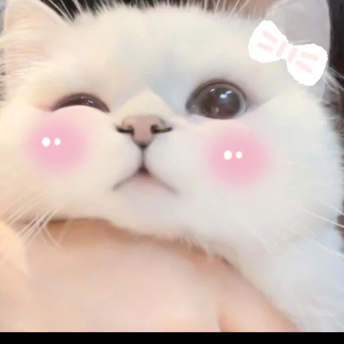 993