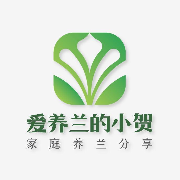爱养兰的小贺