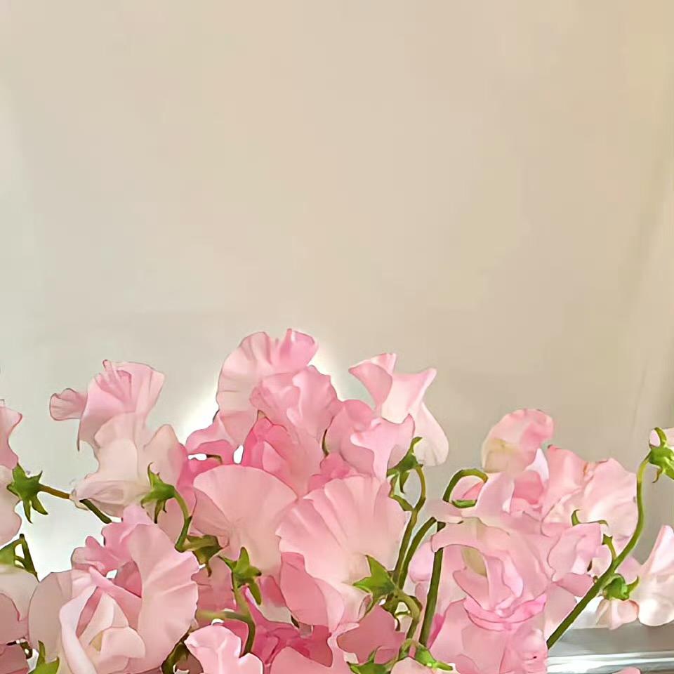 广州依家园艺