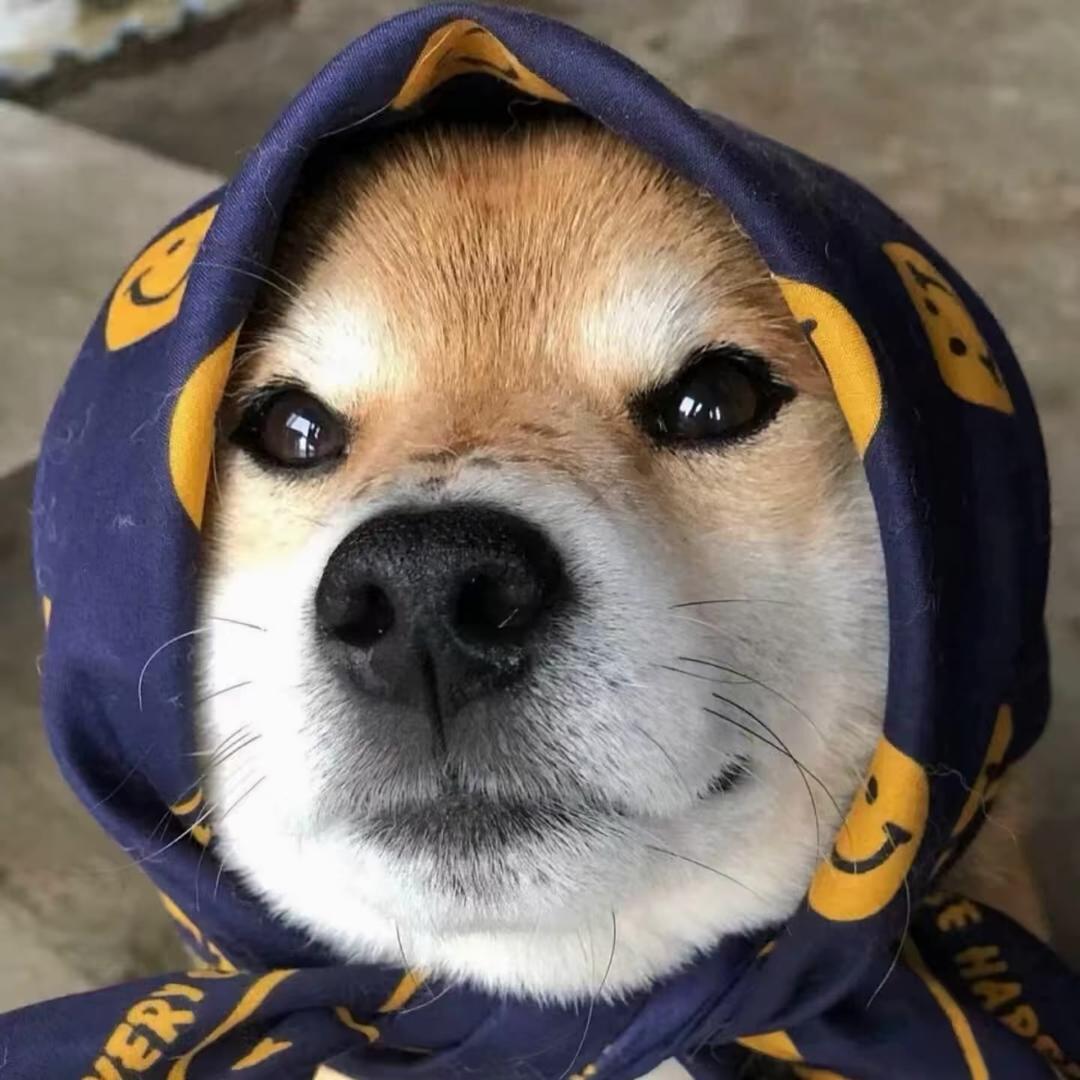 纵错