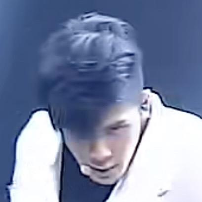 鱼丸面