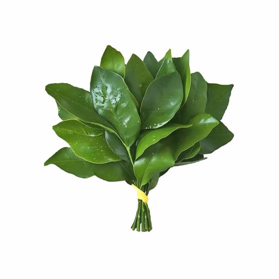 总是冷冰冰的