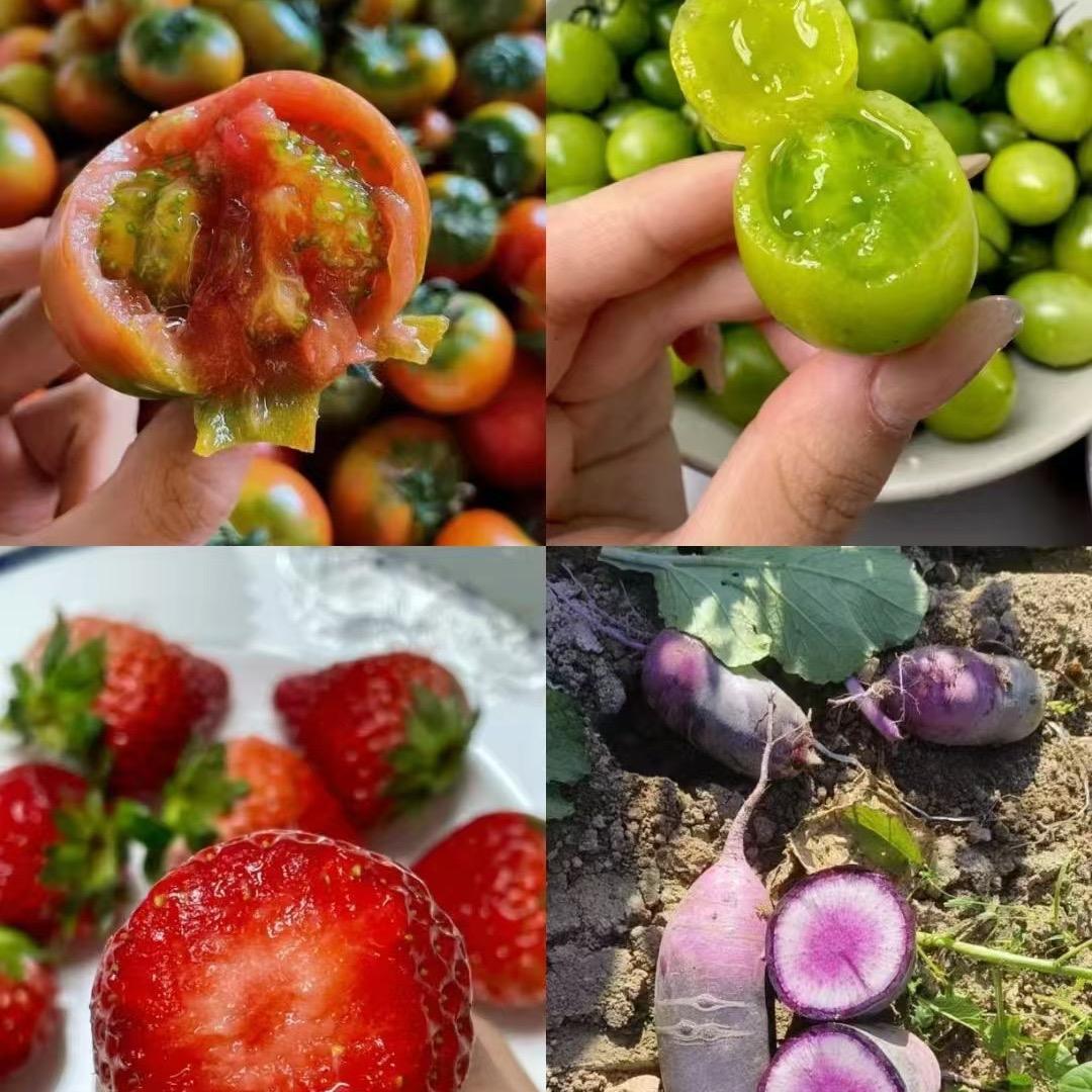 @80后新农人彤彤