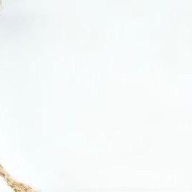 早安（努力努力再努力）