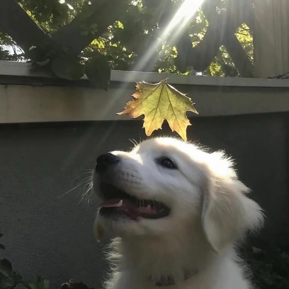 睡觉的时候不困