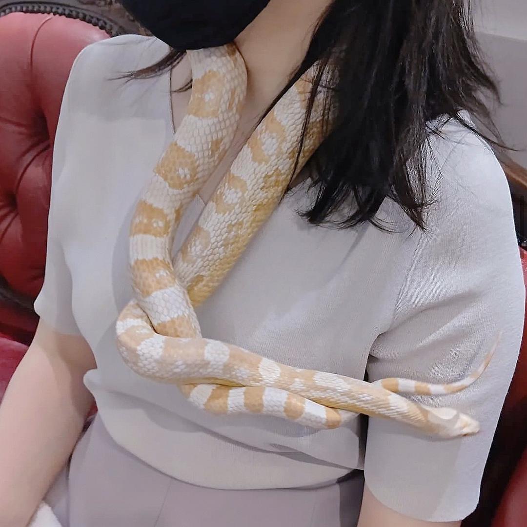 🍓果酱·异宠联合