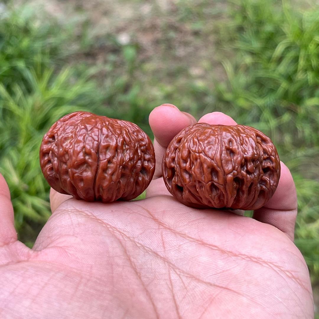 寻对核舍