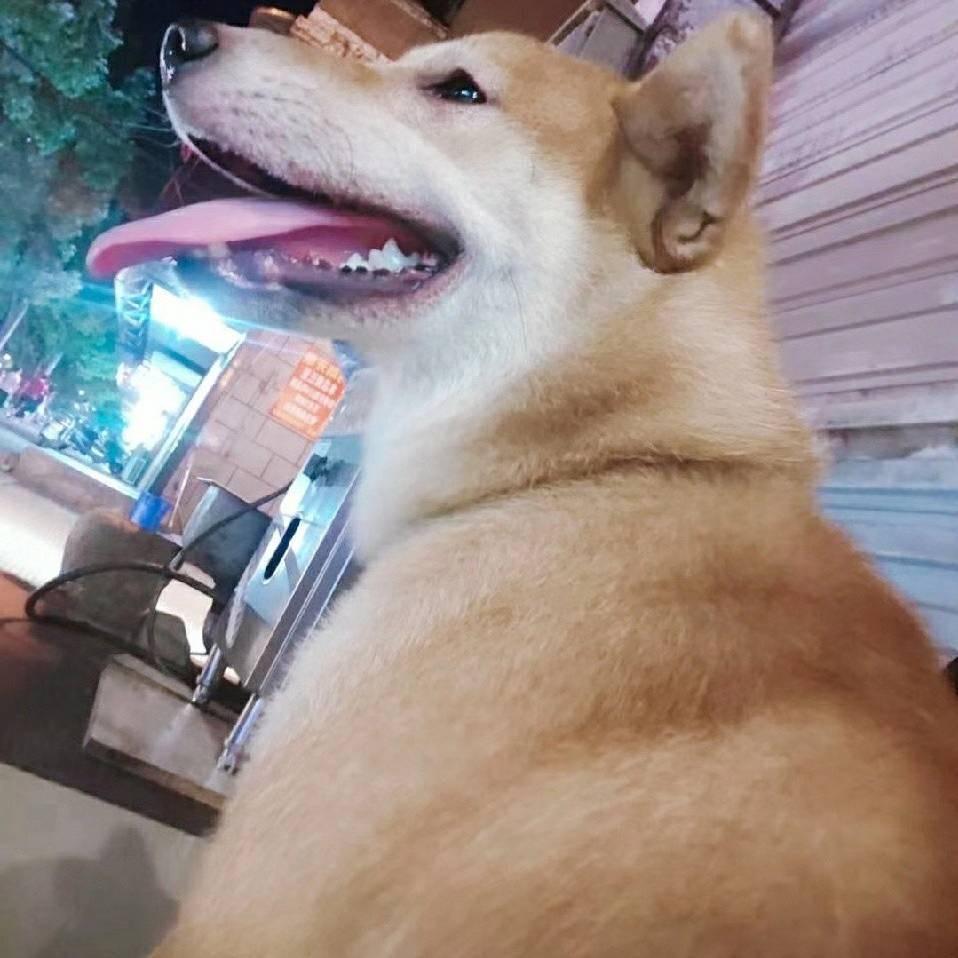 用户9527（九五二七）