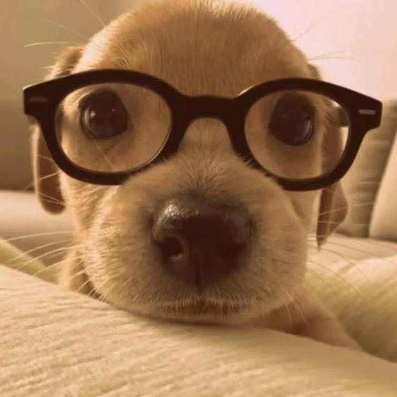 我也不是无所不能