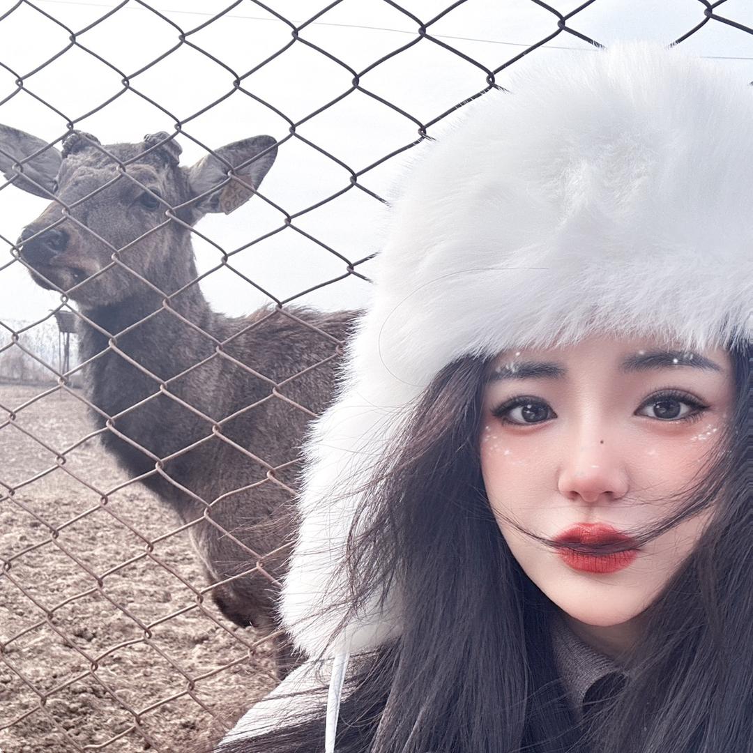 小鹿掌门