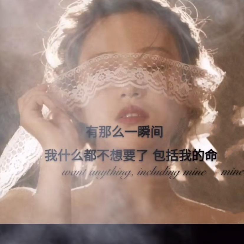 ゚若゚（橱窗好物）