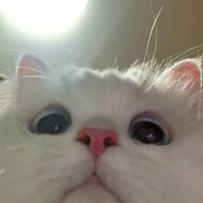 Ooo