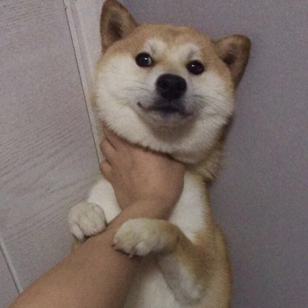 小小多