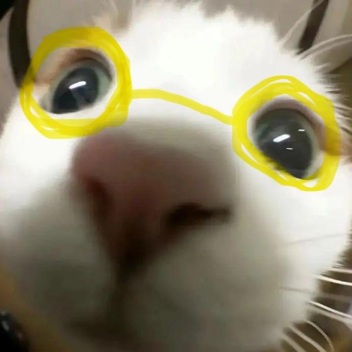 嘎嘎威^ ^