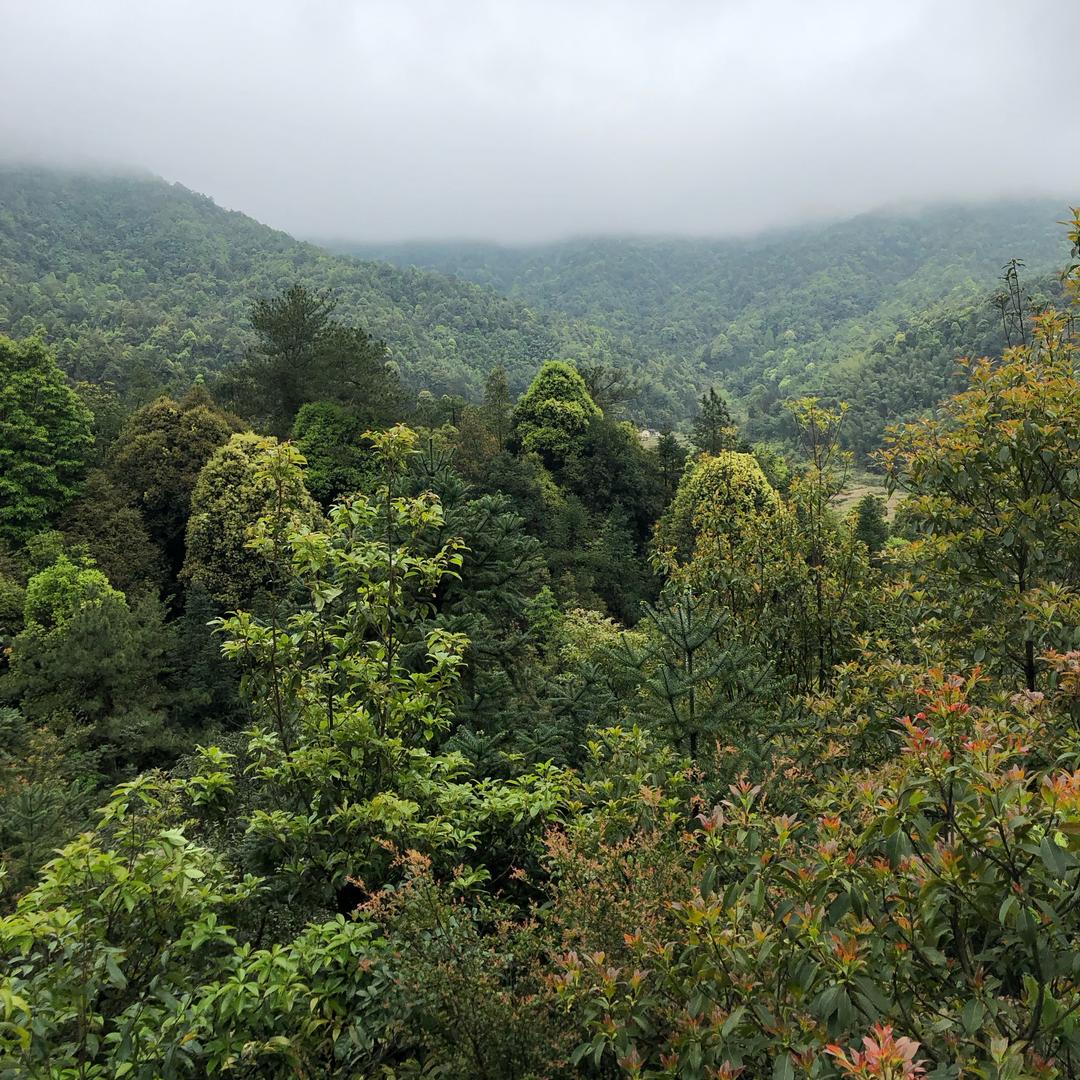 💫思钱想厚💫