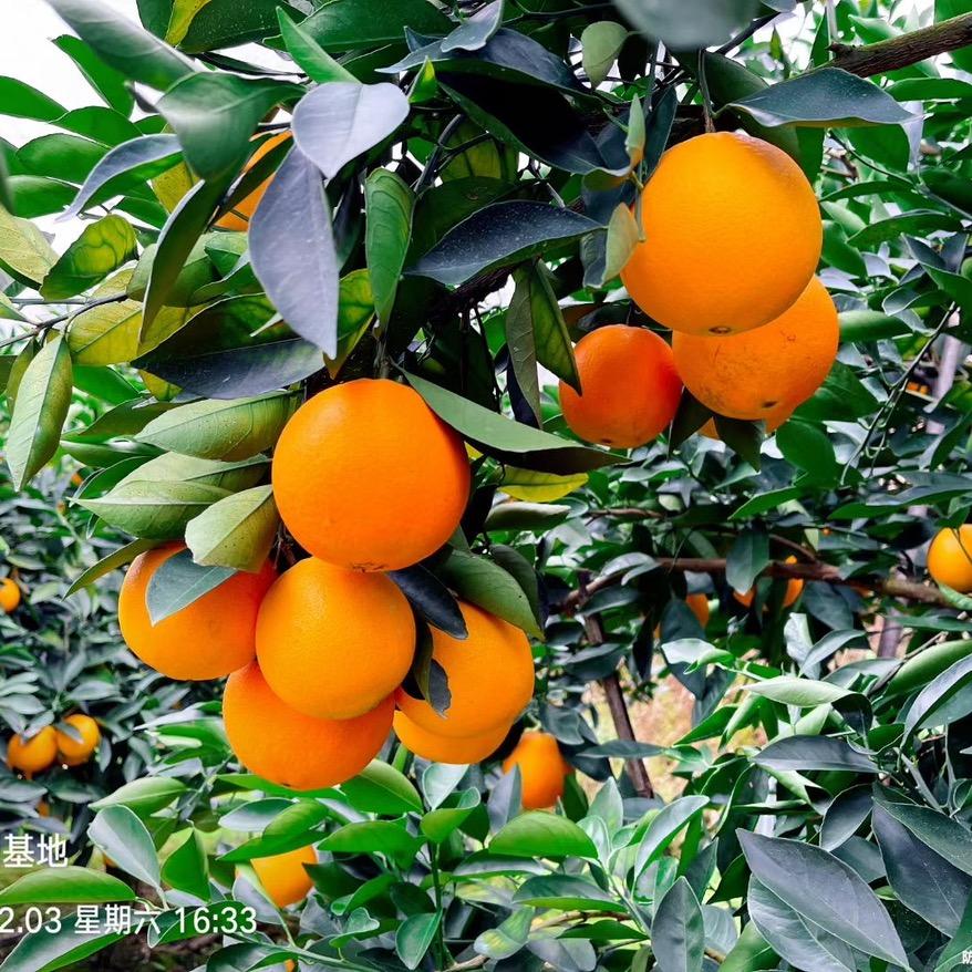 努力奋斗爱生活的80后