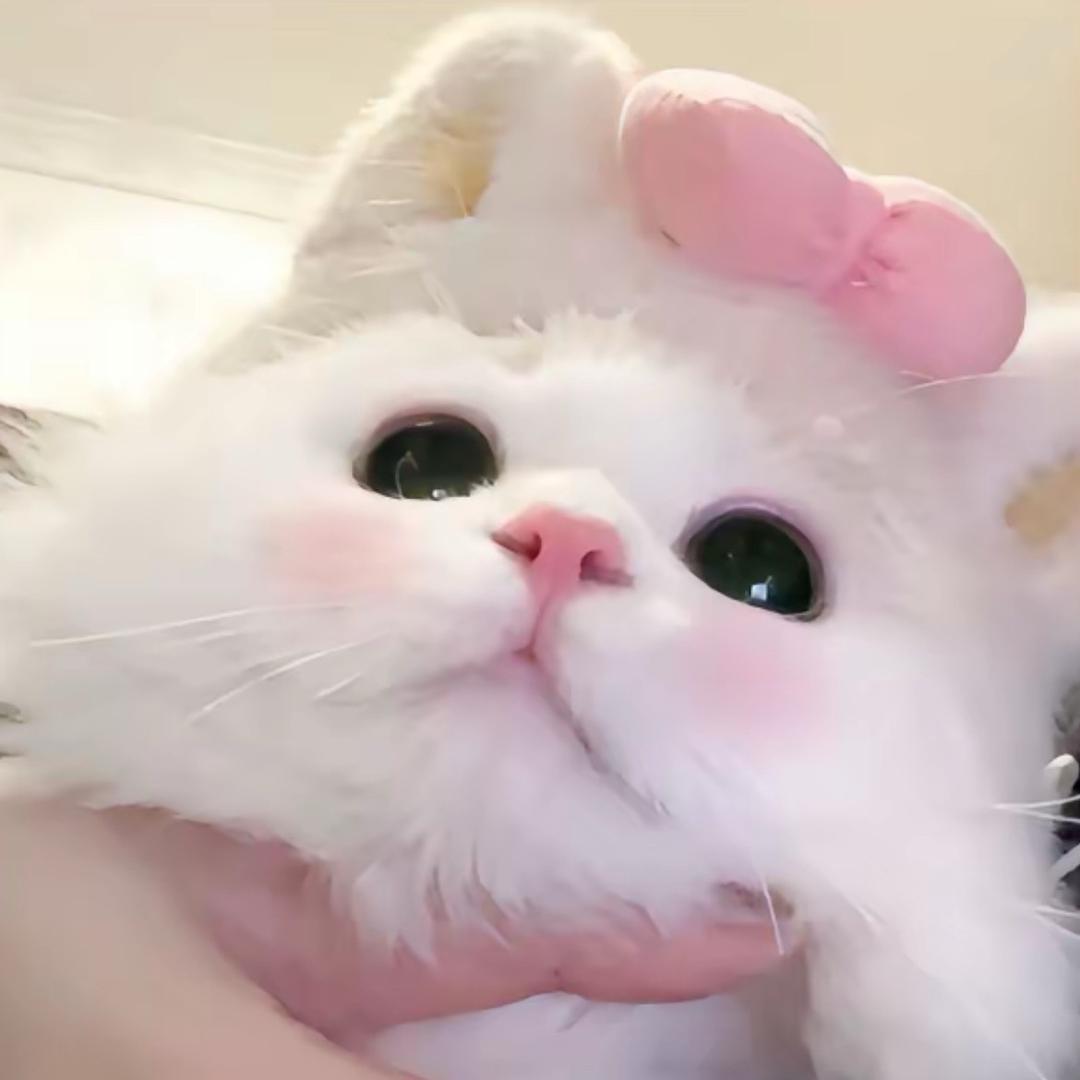脆弱的皇帝