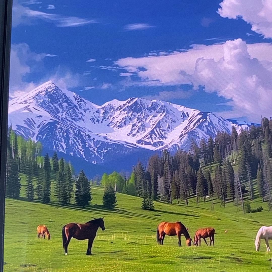 舞阳县宇莱百货店（个体工商户）