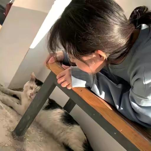 怡梦