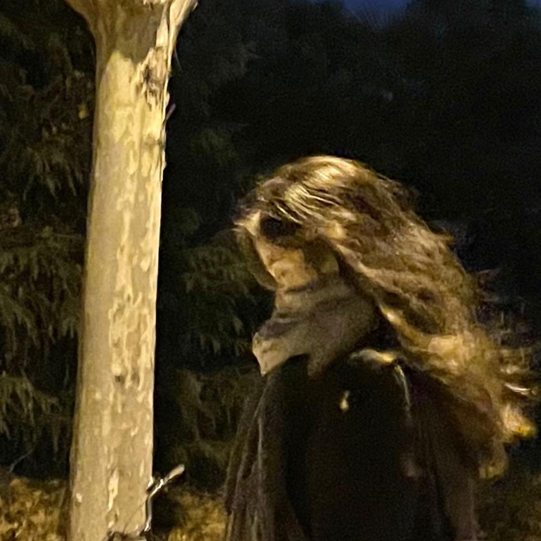 阿柒演出情报局