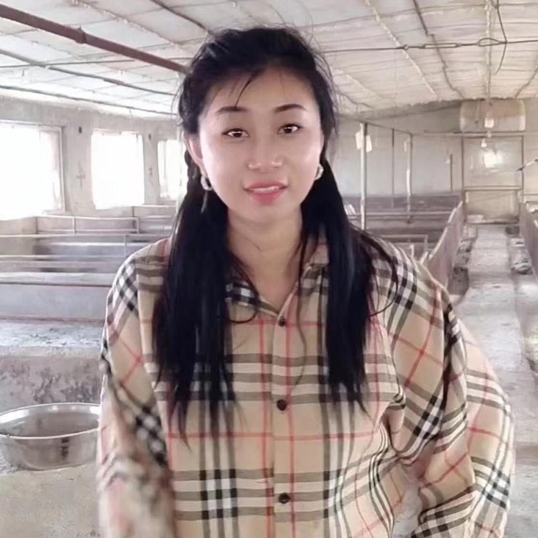 清风如梦