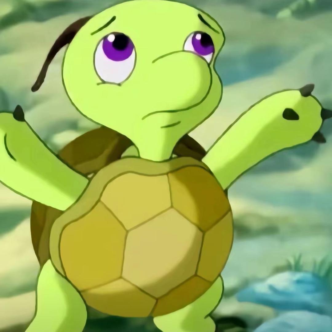 你的龟龟🐢@抖音