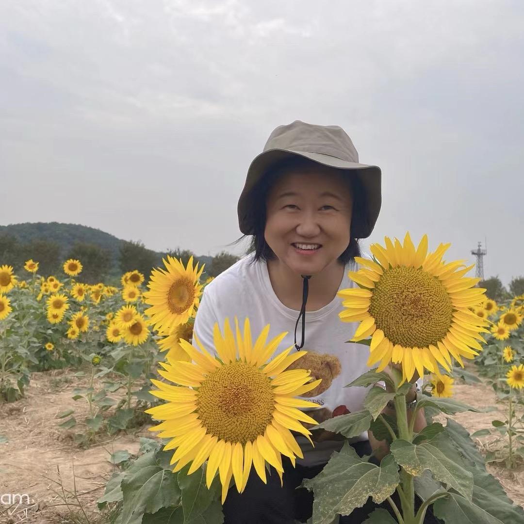 风玫瑰