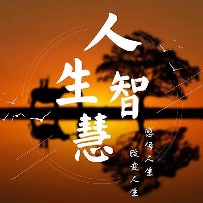 人生智慧66