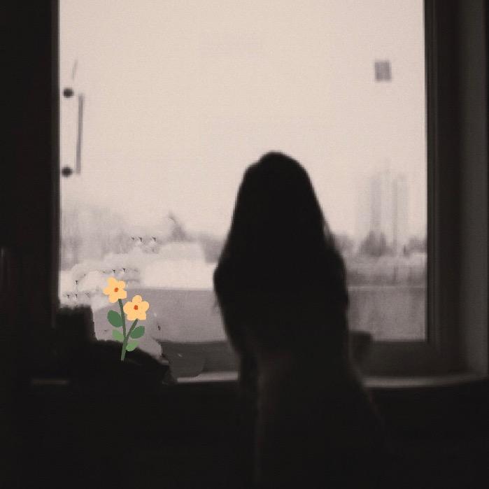 🌻向日葵的深秋