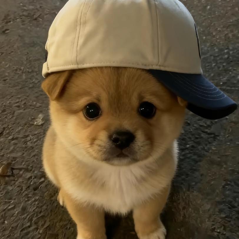 程心