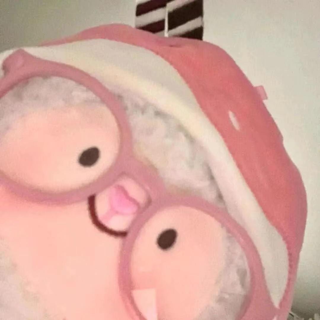 栀栀潮玩百货屋