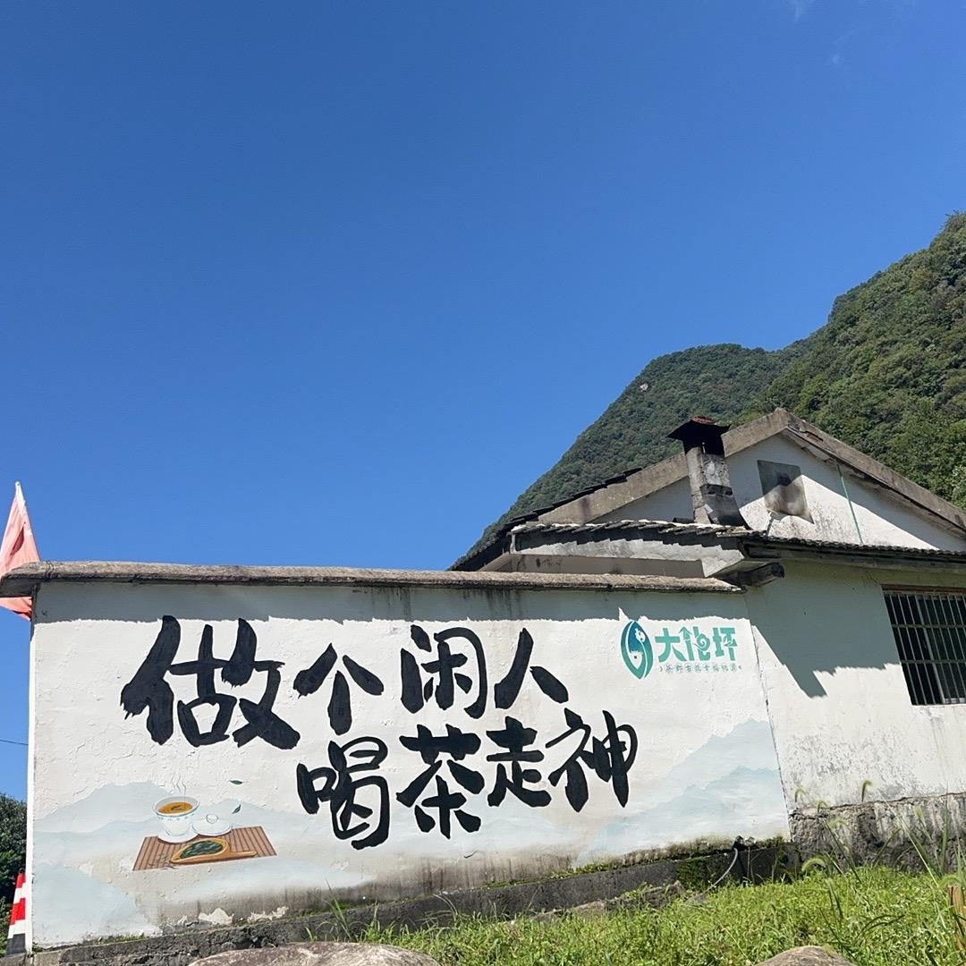 荣宝茶叶