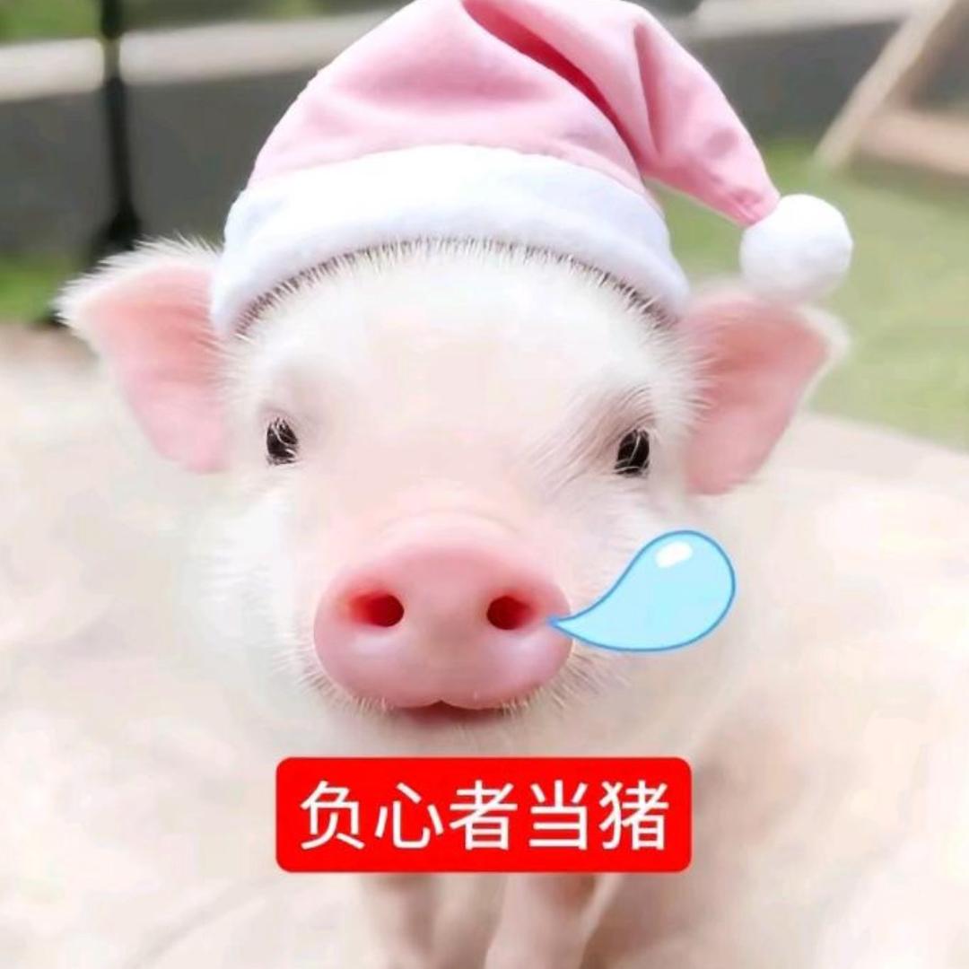 张鱼烧