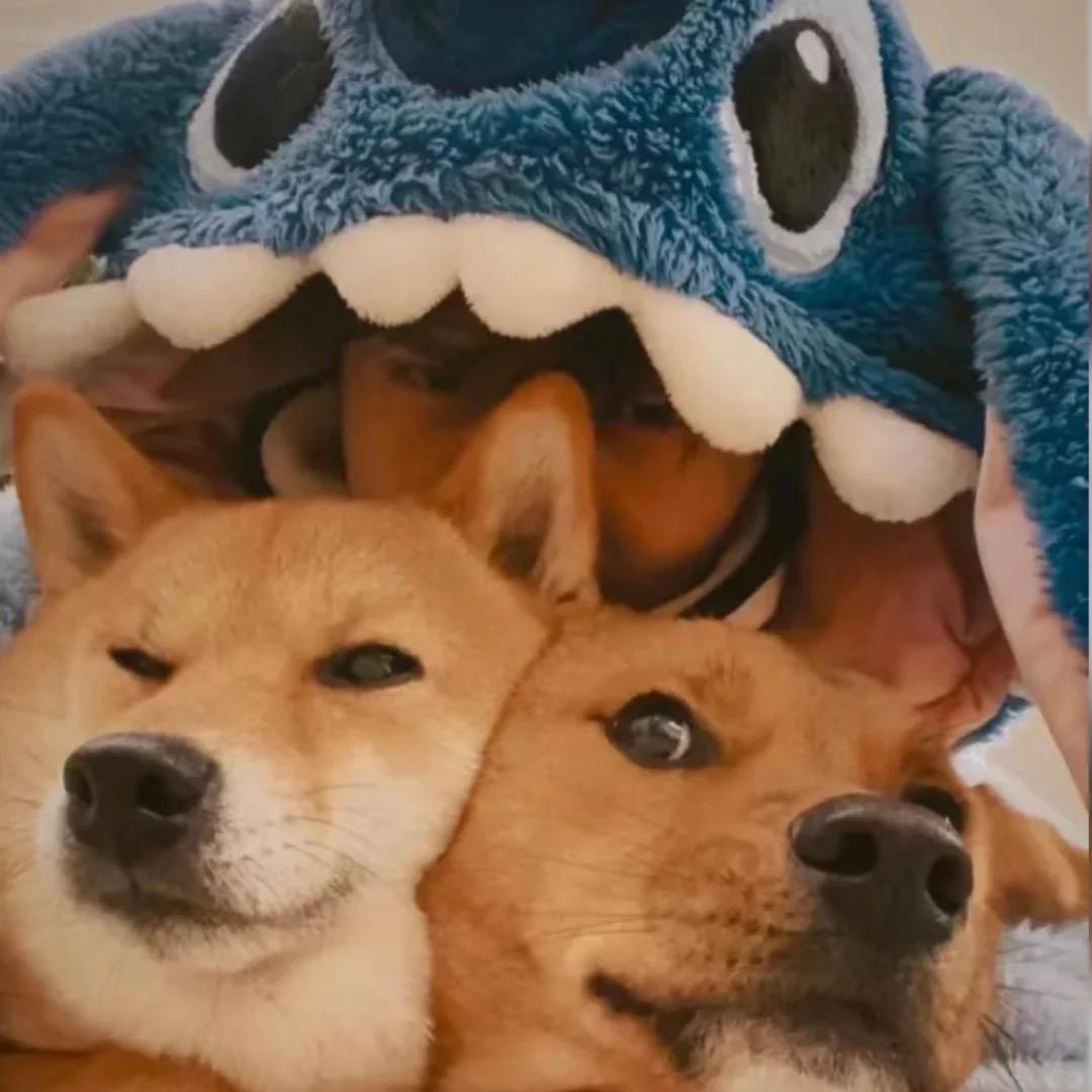 没人点西班牙拿铁